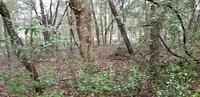 20181201 110940